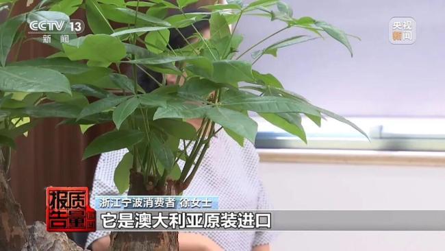 高端进口保健品诺斐丽实为国内生产的普通食品 假洋牌陷阱需警惕
