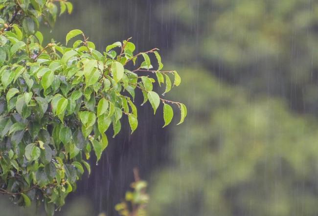 广州雨势将减弱 周四开启暴晒模式