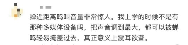 被知了吵到耳鸣耳闷要及时就医，医生紧急提醒