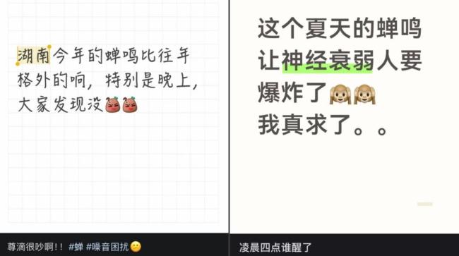 多人因蝉鸣听力受损