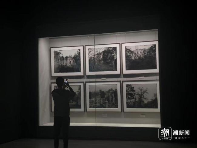 浙博圆明园兽首展将实行预约制 观展热潮引发关注