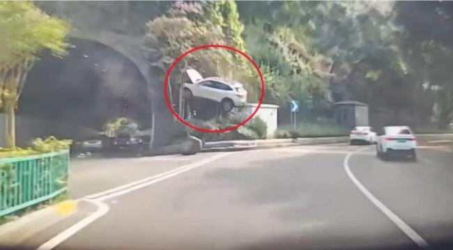 SUV腾空后挂树上 起飞瞬间被拍下