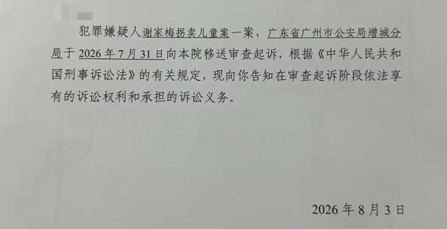 村民谈“梅姨”：叫的其实是“媒姨”