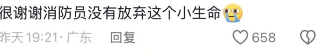 起火后金毛爬窗边吼叫惊动邻居报警 狗狗英勇救楼