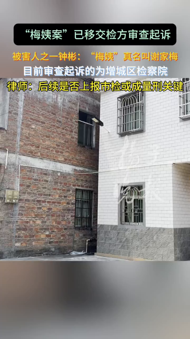 “梅姨案”已被移交到检察院