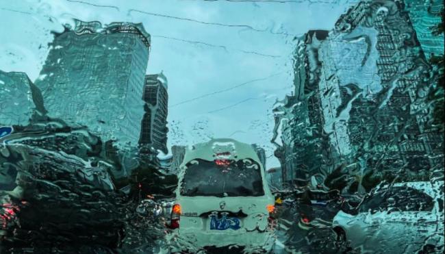台风白海豚体型变大近似13个浙江面积