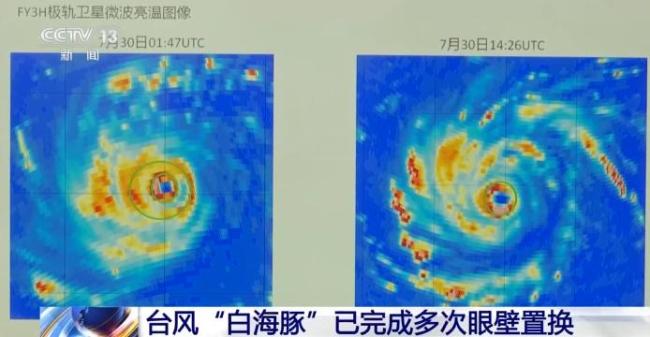 台风白海豚堪称“卷王”
