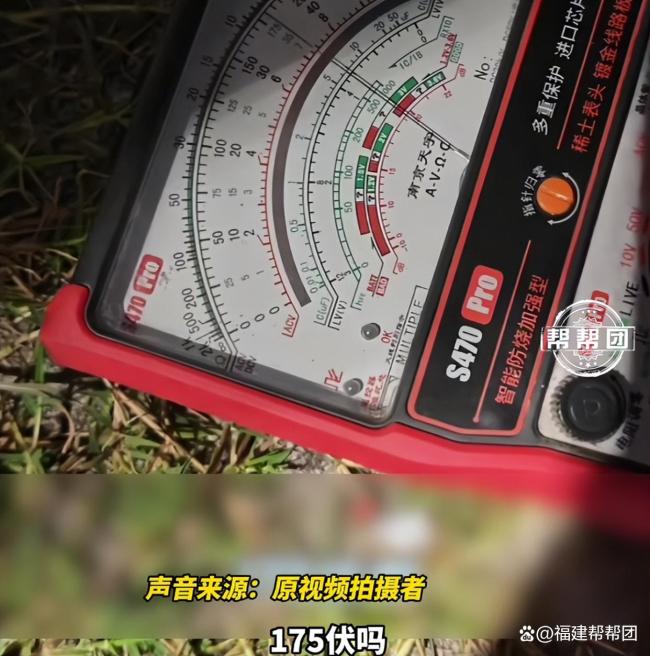 成都一地路面漏电170伏电到宠物狗
