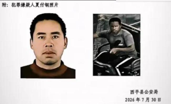 河南重大刑案嫌疑人逃窜时伤害多人