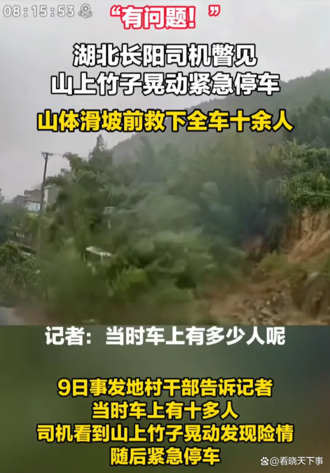 司机见竹子晃动紧急停车救下全车人 敏锐观察力化险为夷