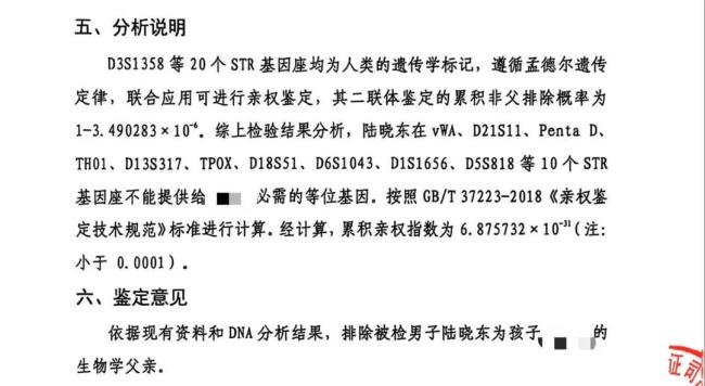 儿子去世老人要查孙子血缘儿媳拒绝 未成年人利益最大化原则引发争议