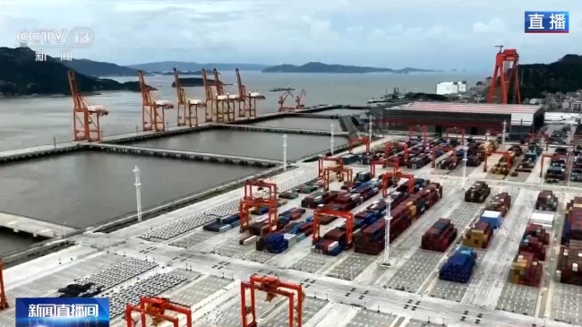 白海豚致台湾数十吨巨型集装箱倒塌