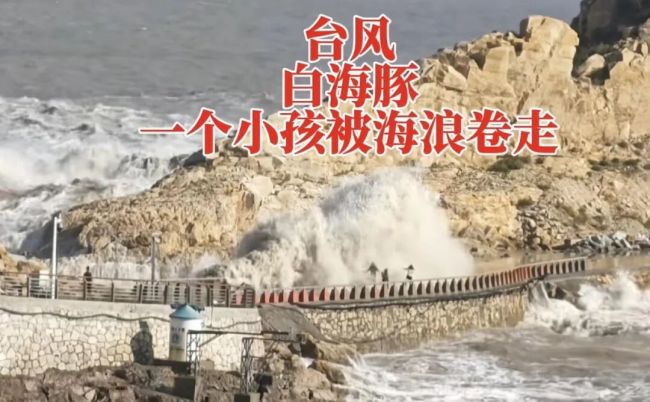 白海豚登陆当地现场画面曝光