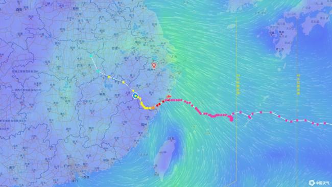 白海豚罕见路线拐弯 直冲武汉引发关注