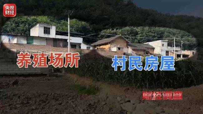 多地乡村排污乱象触目惊心 恶臭刺鼻农田荒