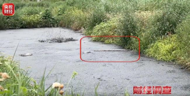 农田黑化不仅仅是环境之痛 监管失职之殇