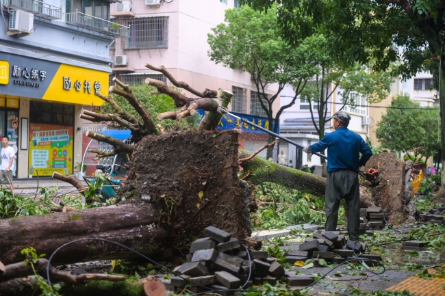 警惕“白海豚”后半程,华北黄淮局地有特大暴雨