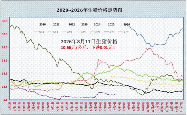 2026年8月11日猪价反弹终结 市场供需基本面欠佳