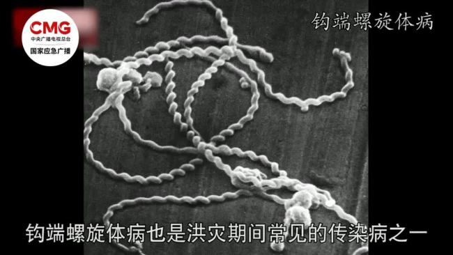暴雨过后这7类食物一口都别碰 防范“病从口入”