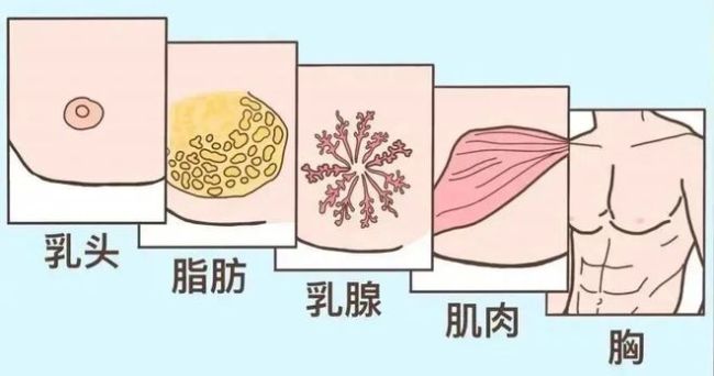 61岁大爷胸前长痘确诊乳腺癌 男性也需警惕