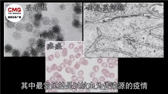 暴雨过后 别让“想当然”害了你 防范“病从口入”