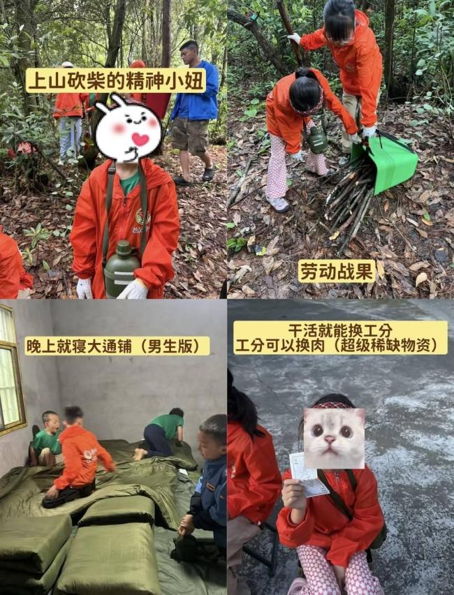 吃苦夏令营走红 让孩子体验真实劳动