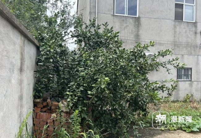 女生遭前男友杀害案二审维持原判 母亲艰难赴墓地告慰女儿