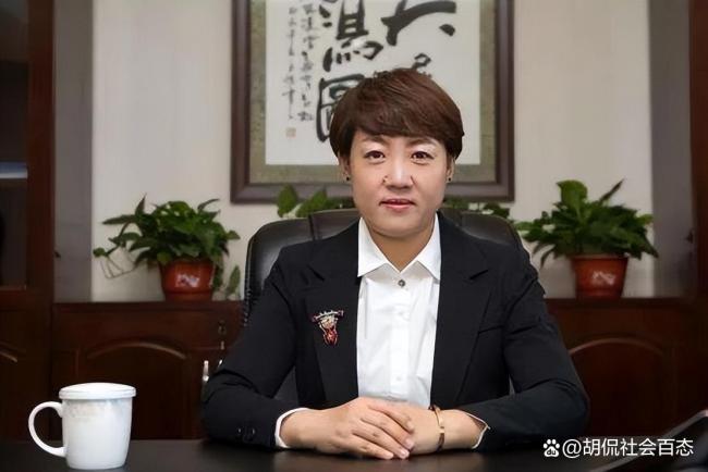 葵花药业创始人与前妻仍存商业关联 旧案阴影未散