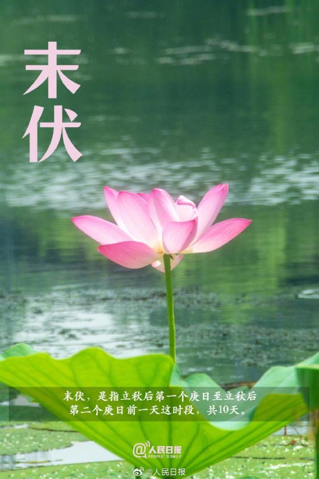 今日进入末伏 “秋老虎”威力犹存