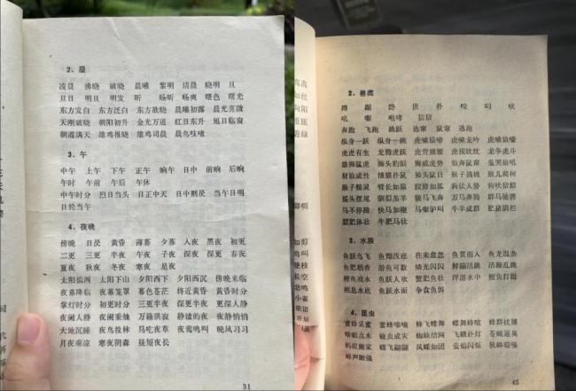 44年前出版的写作工具书走红 经典再现引热议