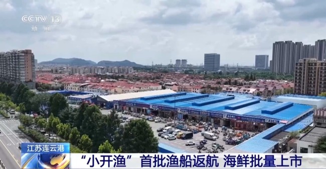 滿載歸港！看東海休漁製度帶來生態改善與豐收