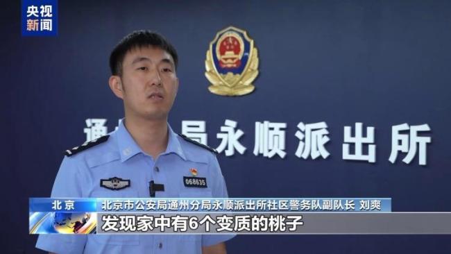 女子9层6次抛烂桃被刑拘 高空抛物不容小觑