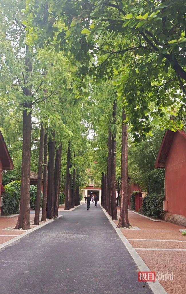 河南卢氏县委大院69间土坯房用了69年 见证岁月坚守初心