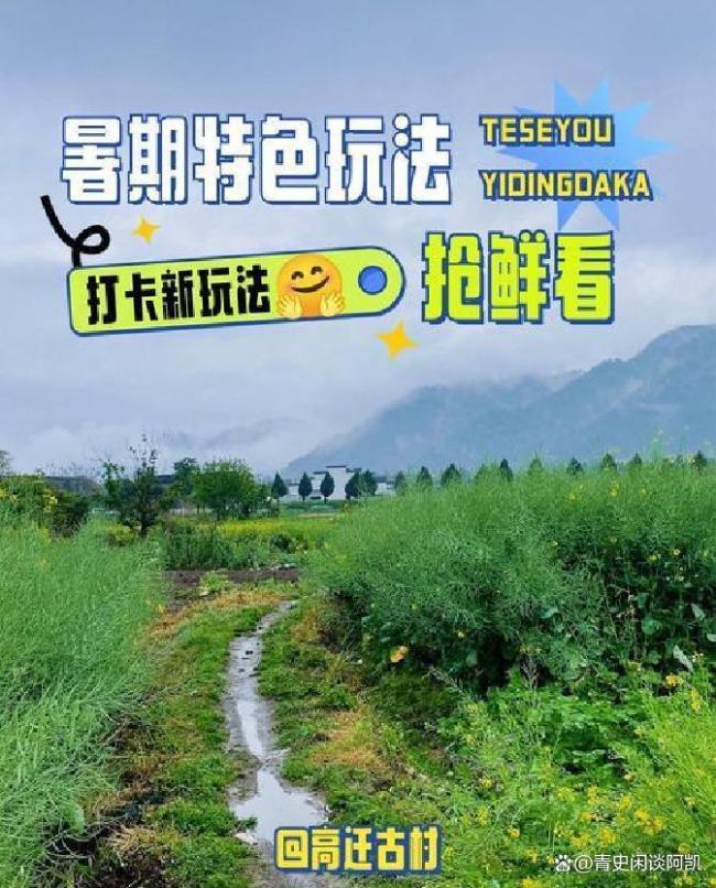 曲靖给旅居客递上四季情书