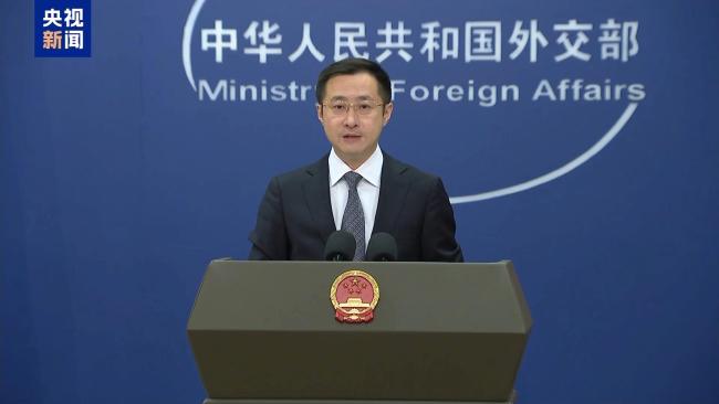如何评价当前中智关系 外交部回应