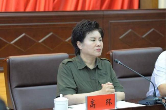 女正厅高环被查 曾任伊春市委书记 涉嫌严重违纪违法_新闻频道_中华网