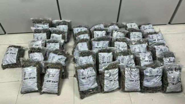 “借道”中国转运70公斤毒品 2名外籍过境人员获刑