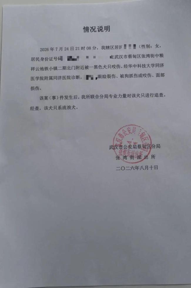 律师谈2岁半女童被流浪狗咬伤 家属寻求责任方