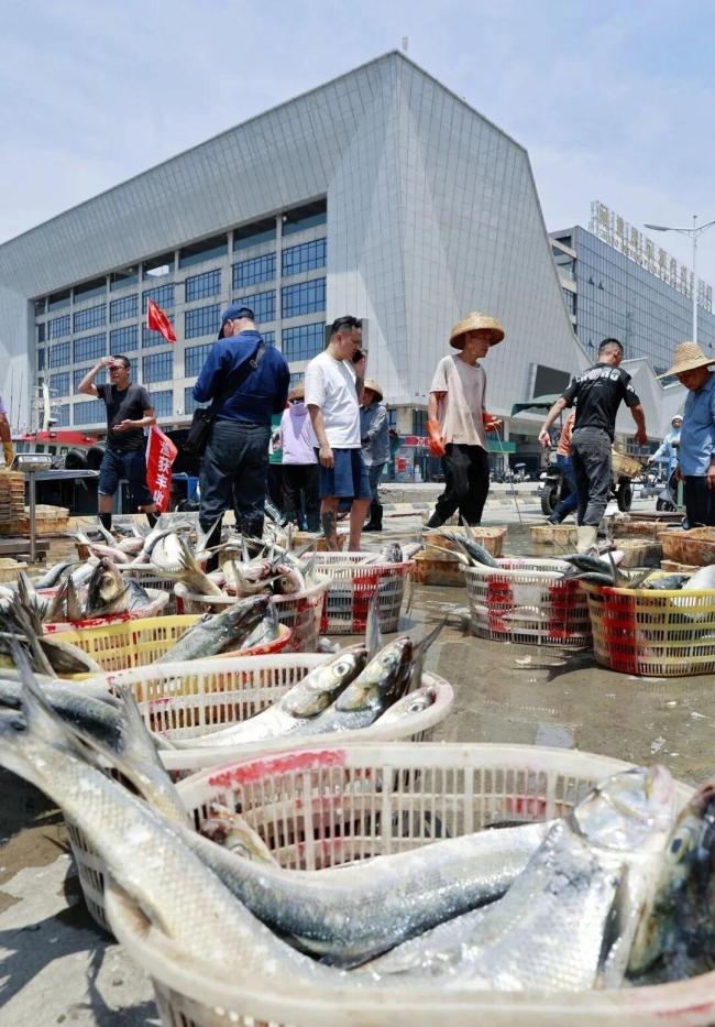 开渔后的第一波生猛海鲜已到广州 阳江鱼王3.8万元拍出