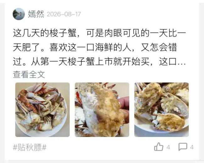 梭子蟹价格大跳水 10元能买两斤 市场到货量暴涨