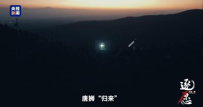 公安部门悬赏100万元寻找石狮 珍贵文物夜间被盗