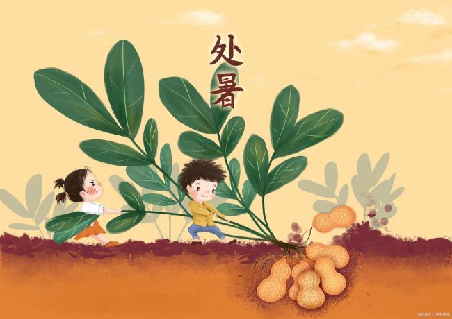 处暑未出伏 科学平稳过初秋 顺应天气平稳过渡