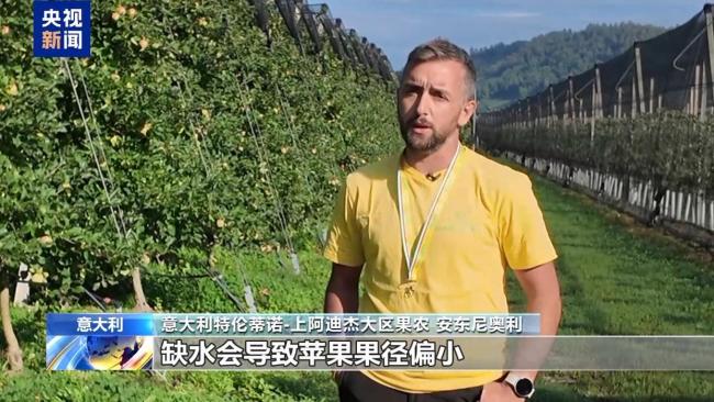 意大利农业面临气候挑战 苹果采收提前