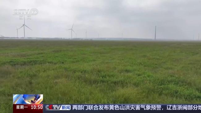 多地进入蒿草花粉过敏高发季 就诊人数激增