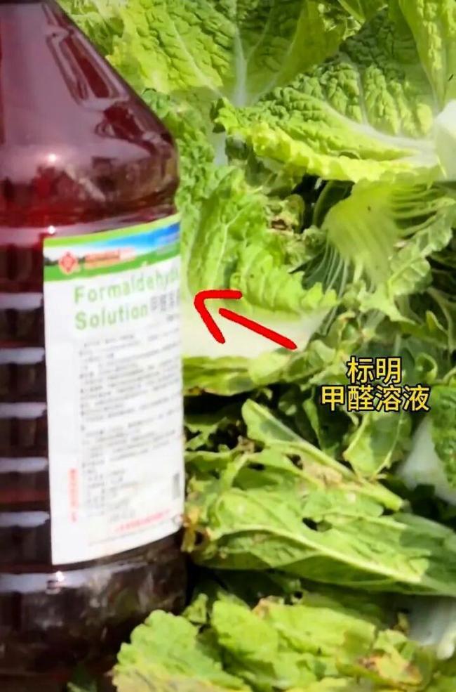 专家提示买菜注意这几点