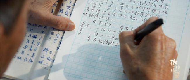 这棵榕树见证现实版给阿嫲的情书 落叶归根的守望