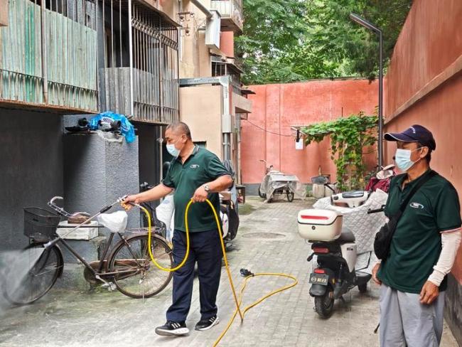 北京的“大蟑螂”真变多了吗 市民遭遇引发讨论