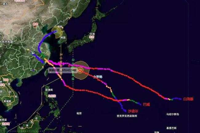 台风沙德尔是又一个白海豚吗 密集台风缓解三伏炎热