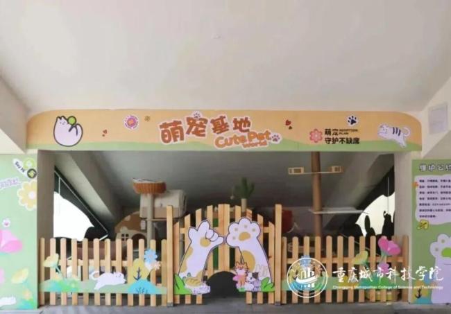 多所高校允许“带宠物上学”
