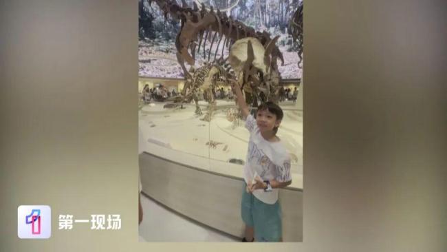 7岁小孩哥给博物馆纠错！官方回应 知识小达人获赞